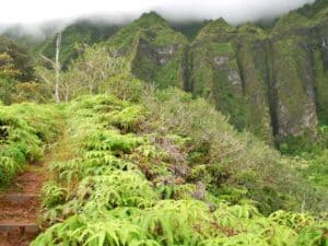 Vacation Hawaii Rentals