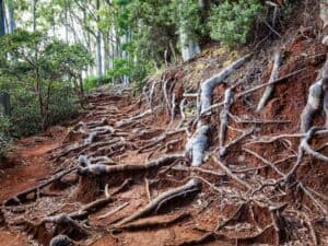 Vacation Hawaii Rentals