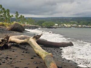 Vacation Hawaii Rentals