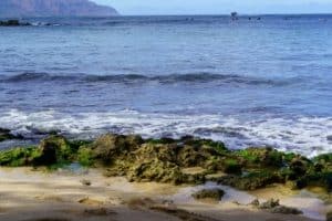 FEatured blog 1 aloha spirit
