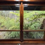 Hawaiian Anthurium Treehouse Cabin of Furnished Rentals in Hawaii centrally located between Pahoa, Hilo, and Volcanoes National Park, with views of Mauna Kea.