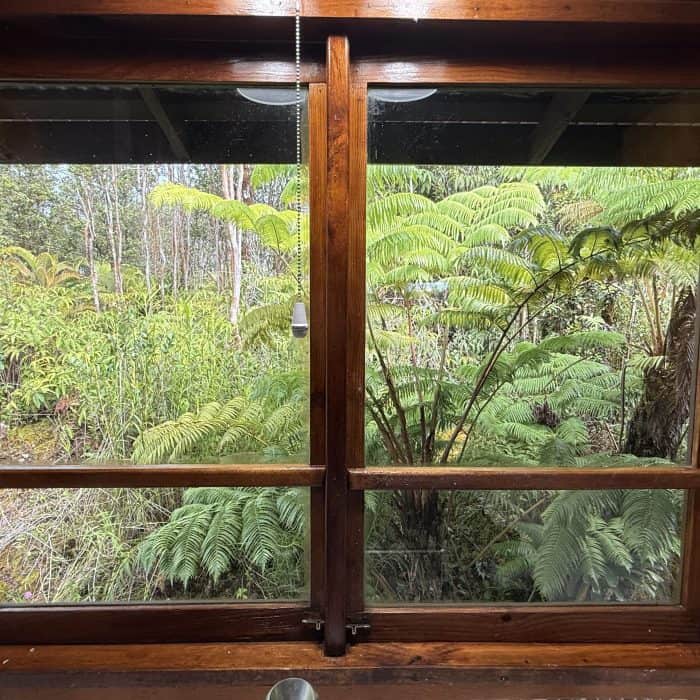 Hawaiian Anthurium Treehouse Cabin of Furnished Rentals in Hawaii centrally located between Pahoa, Hilo, and Volcanoes National Park, with views of Mauna Kea.